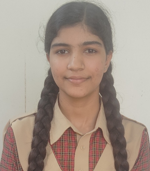 Anjali — XII  —  COMMERCE topper at AJDG School, RBSE Board 2025-26 (94.20%)